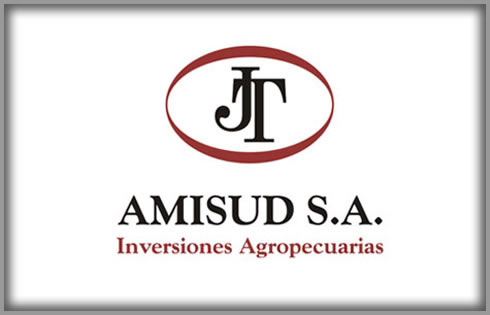 AMISUD